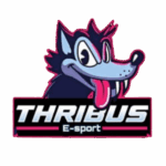 Design sem nome (13)