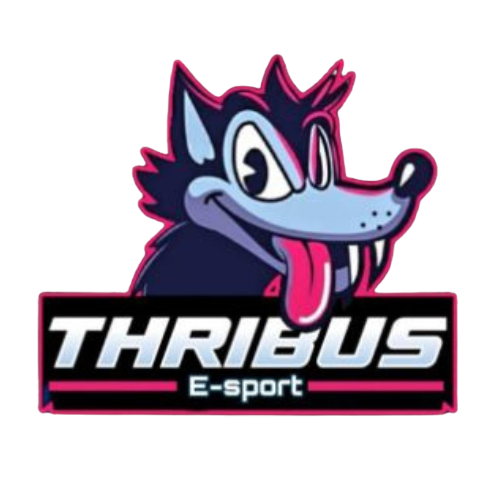 Design sem nome (13)